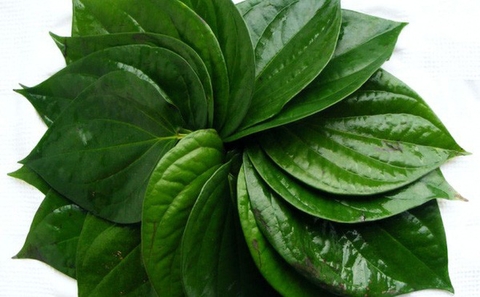 Cô gái bỗng đổi màu da tay, chân sau ngâm lá trầu không