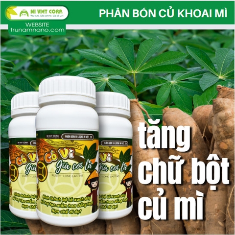 Chế phẩm tăng chữ bột củ khoai mì (sắn)