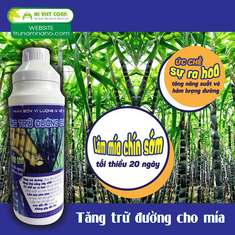 Chế phẩm tăng trữ đường cho mía