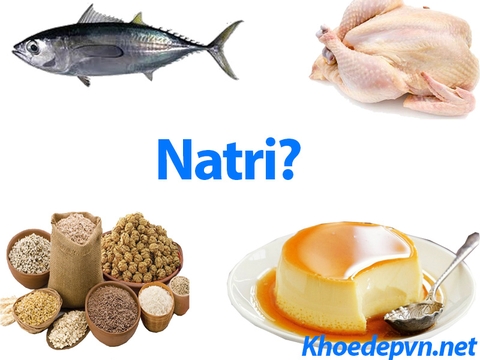 LÀM CÁCH NÀO ĐỂ CẮT GIẢM LƯỢNG NATRI MÀ CHÚNG TA TIÊU THỤ HÀNG NGÀY?