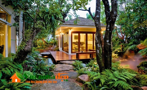 thiet-ke-vuon-tropical-vuon-nhiet-doi