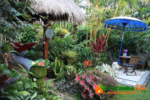 thiet-ke-vuon-tropical-vuon-nhiet-doi