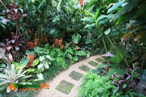 thiet-ke-vuon-tropical-vuon-nhiet-doi