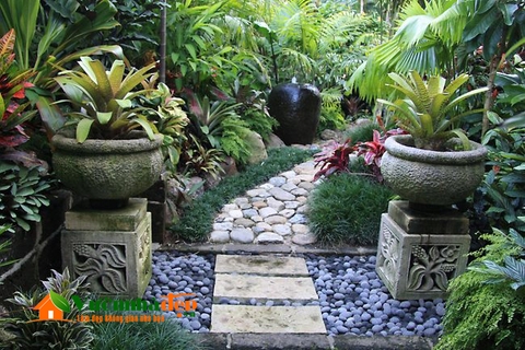 thiet-ke-vuon-tropical-vuon-nhiet-doi