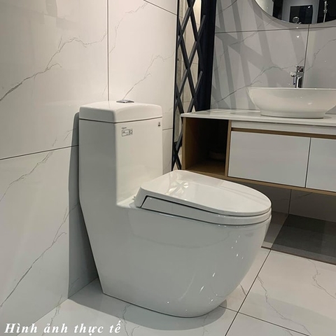 Bồn cầu một khối Viglacera nào có giá đắt nhất hiện nay