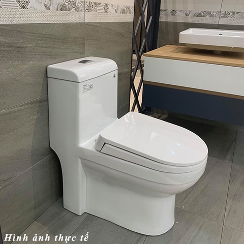 Đặc điểm của bồn cầu Viglacera