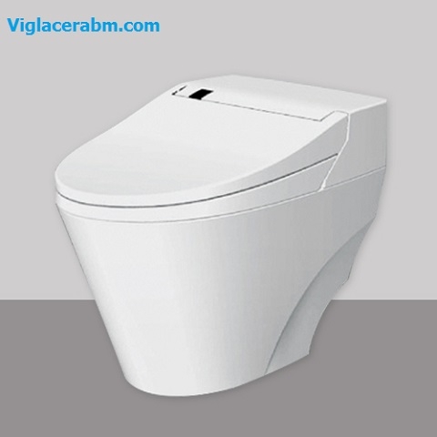 Mua bồn cầu điện tử Viglacera V90 ở đâu tại Hà Nội?