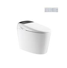 Giới thiệu Bồn cầu điện tử Viglacera V97.WB