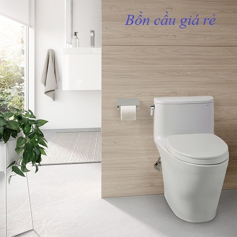 Bồn cầu Viglacera gì có giá rẻ nhất hiện nay