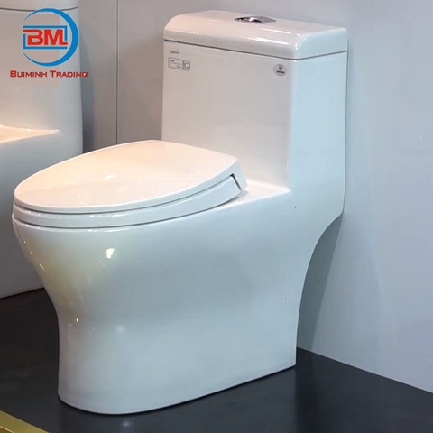 Một số lưu ý quan trọng khi sử dụng bồn cầu Viglacera thoát ngang