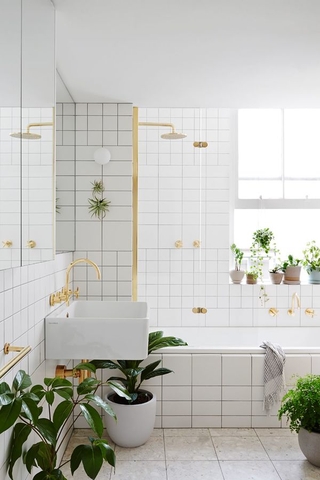 Mẫu phòng tắm đơn giản với nhiều cây xanh