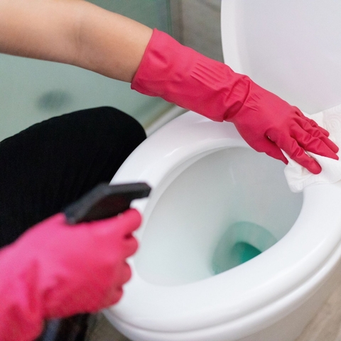 5 lợi ích của việc vệ sinh bồn cầu định kỳ