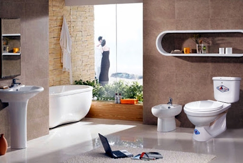 Trước khi mua thiết bị vệ sinh Viglacera những điều này bạn cần chú ý