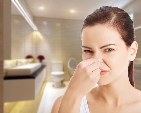 Cách khử mùi hôi cống thoát nước trong nhà vệ sinh hiệu quả