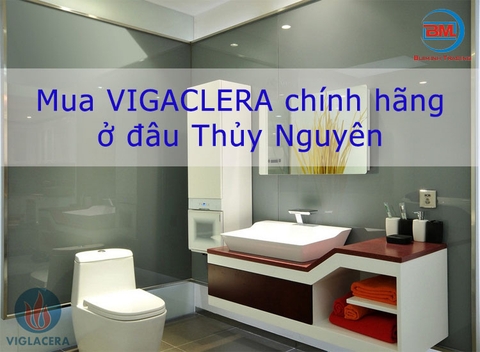 Mua Viglacera ở đâu Thủy Nguyên, Hải Phòng chính hãng