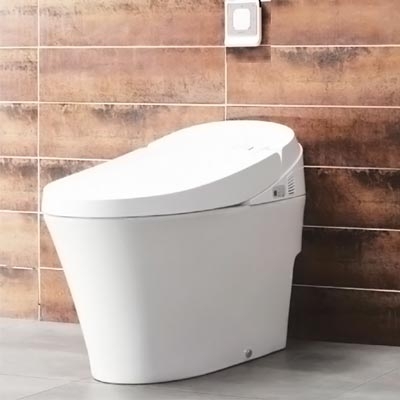 Bồn Cầu Điện Tử Viglacera V91