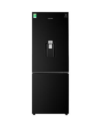 RB30N4170BU/SV - Tủ lạnh Samsung 307 lít