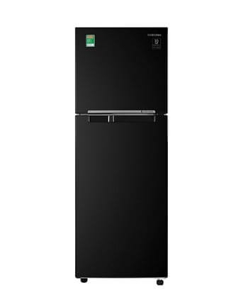 RT25M4032BU/SV - Tủ lạnh Samsung 256 lít