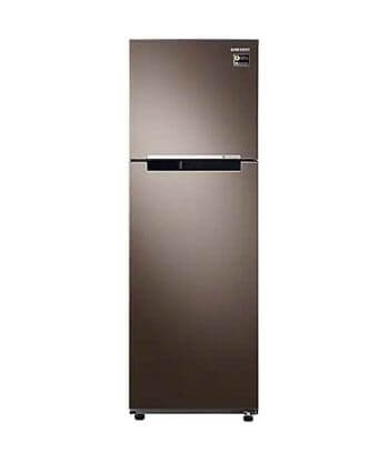 RT25M4032DX/SV - Tủ lạnh Samsung 256 lít