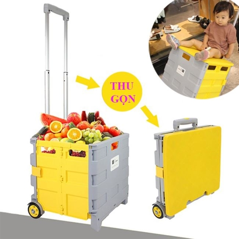 Xe kéo hàng đa năng - XDC 19100 Xe đẩy ghế ngồi