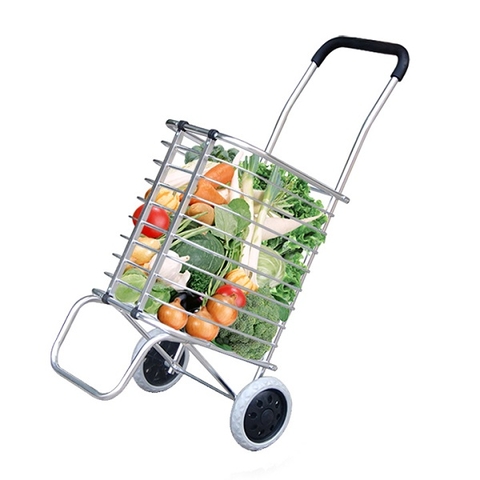 Xe đi chợ đa năng -XDC1940