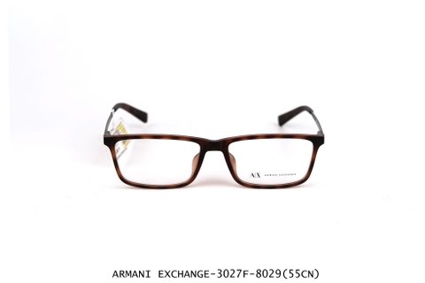ARMANI EXCHANGE - 3027F-8029 (55CN)