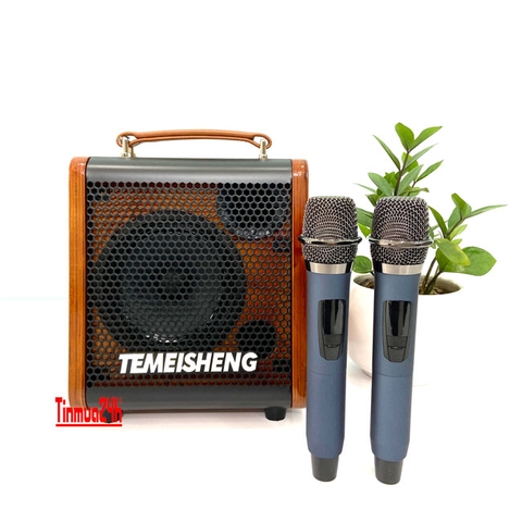 Loa Karaoke Di Động Xách Tay Temeisheng JT06-53