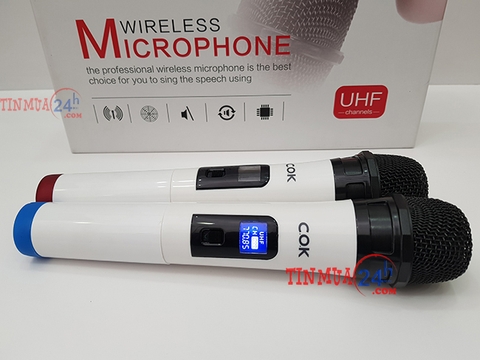 Bộ Micro Không Dây COK ST-300