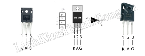 Cách kiểm tra SCR sống hay chết!!!