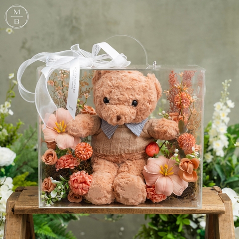 Vali Crystal - Teddy