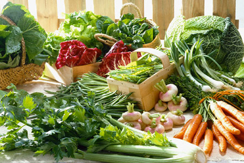 8 cách đơn giản để bắt đầu trồng rau hữu cơ tại nhà