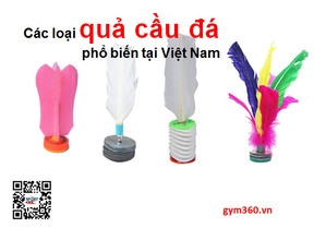 Các loại quả cầu đá phổ biến tại Việt Nam