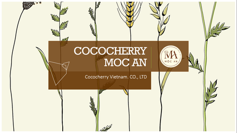 CÂU CHUYỆN THƯƠNG HIỆU COCOCHERRY MỘC AN