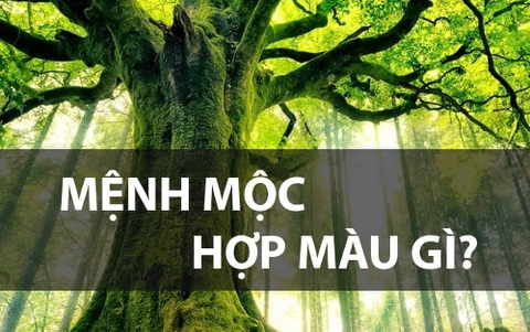 Người mệnh Mộc nên đeo đồng hồ màu gì hợp phong thủy, may mắn và tài lộc