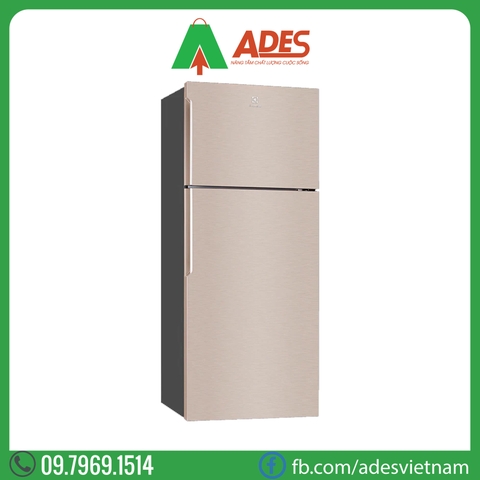 Tủ lạnh Electrolux Inverter ETB4600B-G 431L