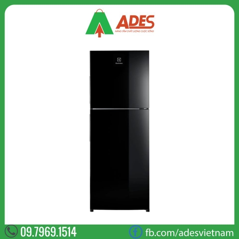 Tủ lạnh Electrolux Inverter ETB2502J-H 245L