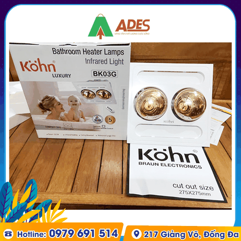 Đèn sưởi nhà tắm Braun Kohn BK03GR âm trần (Điều khiển từ xa)