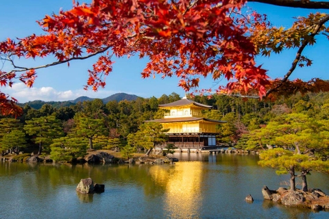 Du lịch Nhật Bản mùa thu có gì?