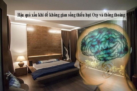 GIẢI PHÁP CHO KHÔNG GIAN SỐNG BỊ THIẾU HỤT OXY