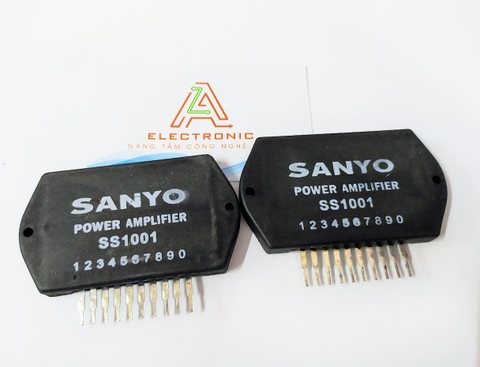 Module Sanyo SS1001