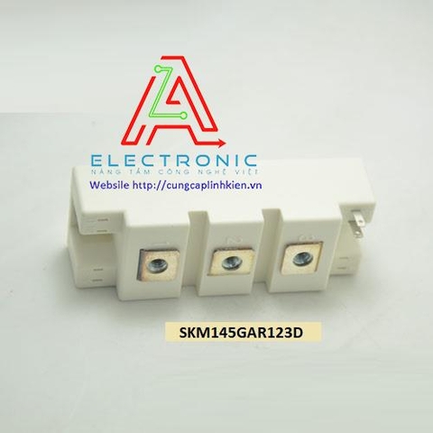 Module biến tần IGBT SKM145GAR123D / 124D new