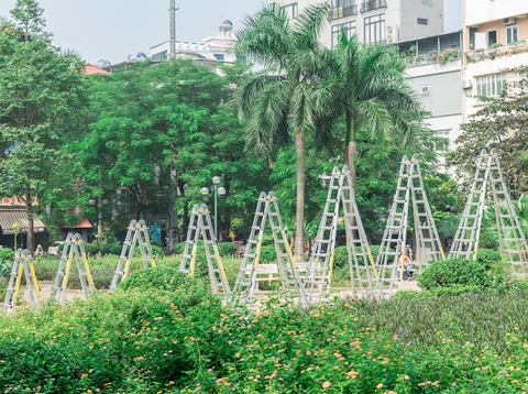 Joongang Ladder làm gì để chinh phục khách hàng Việt Nam