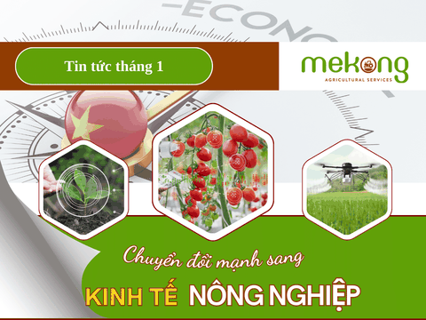 Nông nghiệp năm 2024: Chuyển mạnh 