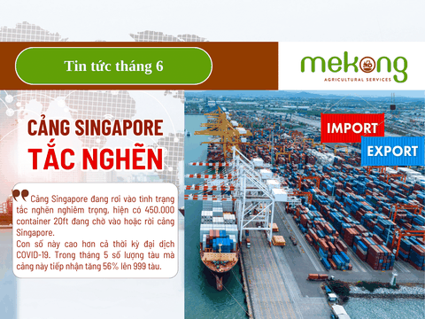 Cảng Đông Nam Á tắc nghẽn tồi tệ nhất, doanh nghiệp phân bón chủ động thích ứng