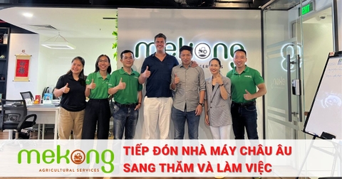 Hân hạnh đón tiếp và làm việc với nhà máy Châu Âu - chiến lược phát triển dài hạn