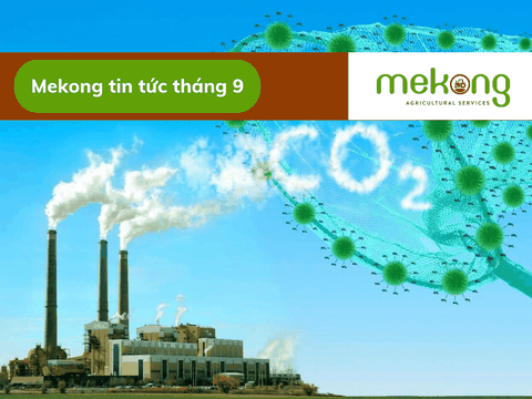 Hỗ trợ doanh nghiệp Việt Nam vận hành hiệu quả hệ thống trao đổi hạn ngạch phát thải
