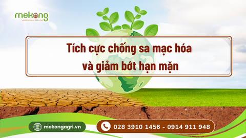 Chung tay hành động chống sa mạc hóa, El Nino