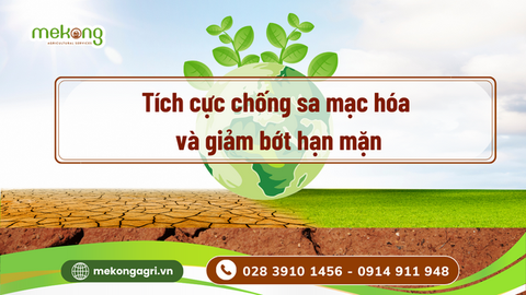 CHUNG TAY HÀNH ĐỘNG CHỐNG SA MẠC HÓA, EL NINO