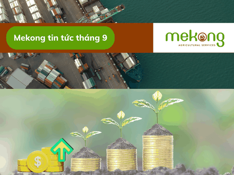 Tỷ giá tăng, giá phân bón tiếp tục xu hướng đi lên