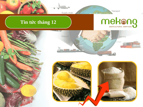 Dấu ấn xuất khẩu nông, lâm, thủy sản năm 2023 đạt trên 53 tỷ USD